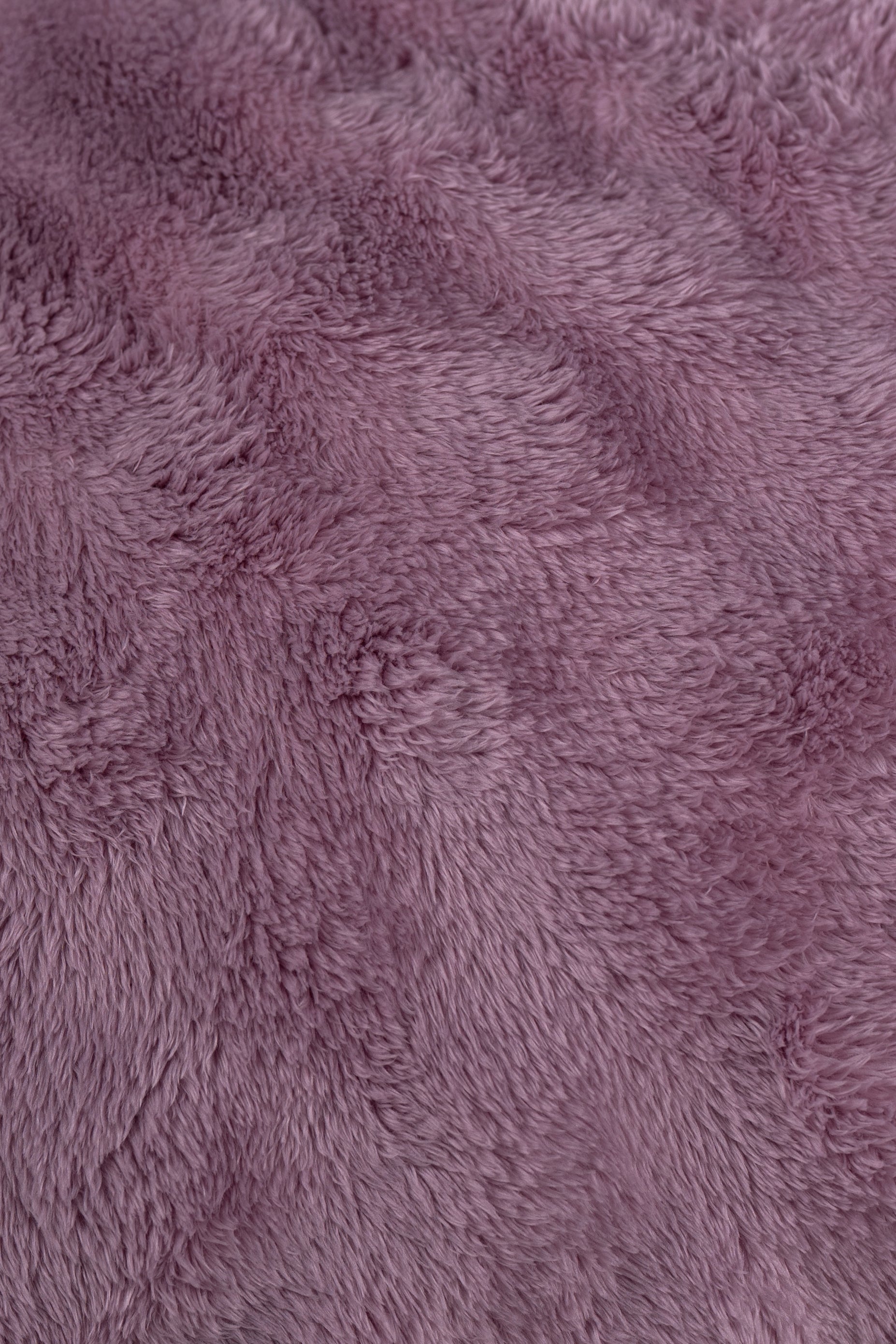Purple Blanket