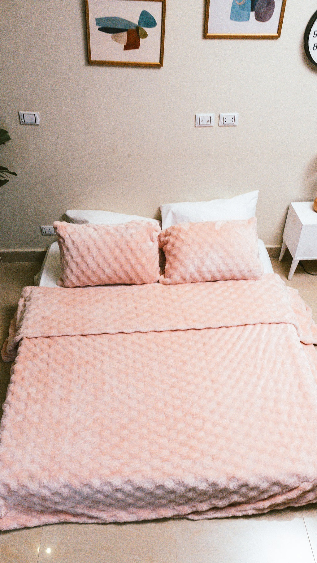 Rose Blanket with 2 pillow cases.